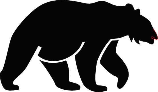 Nasenbär